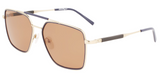 Ferragamo  SF298S