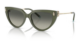 Tiffany & Co. 0TF4195