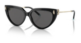Tiffany & Co. 0TF4195