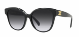 Celine CL40204F TRIOMPHE